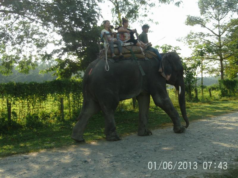 Chitwan elephant ride